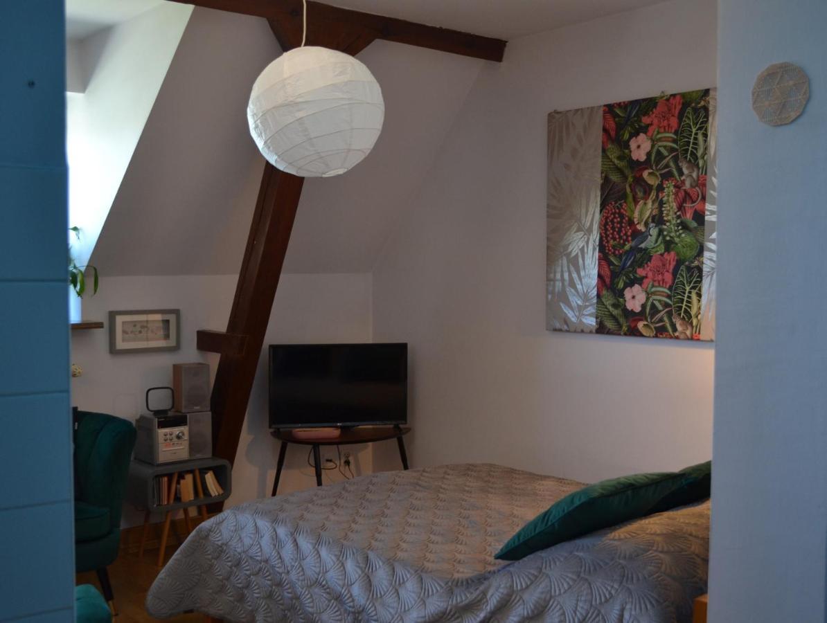 Aloes Studio Krasków Εξωτερικό φωτογραφία