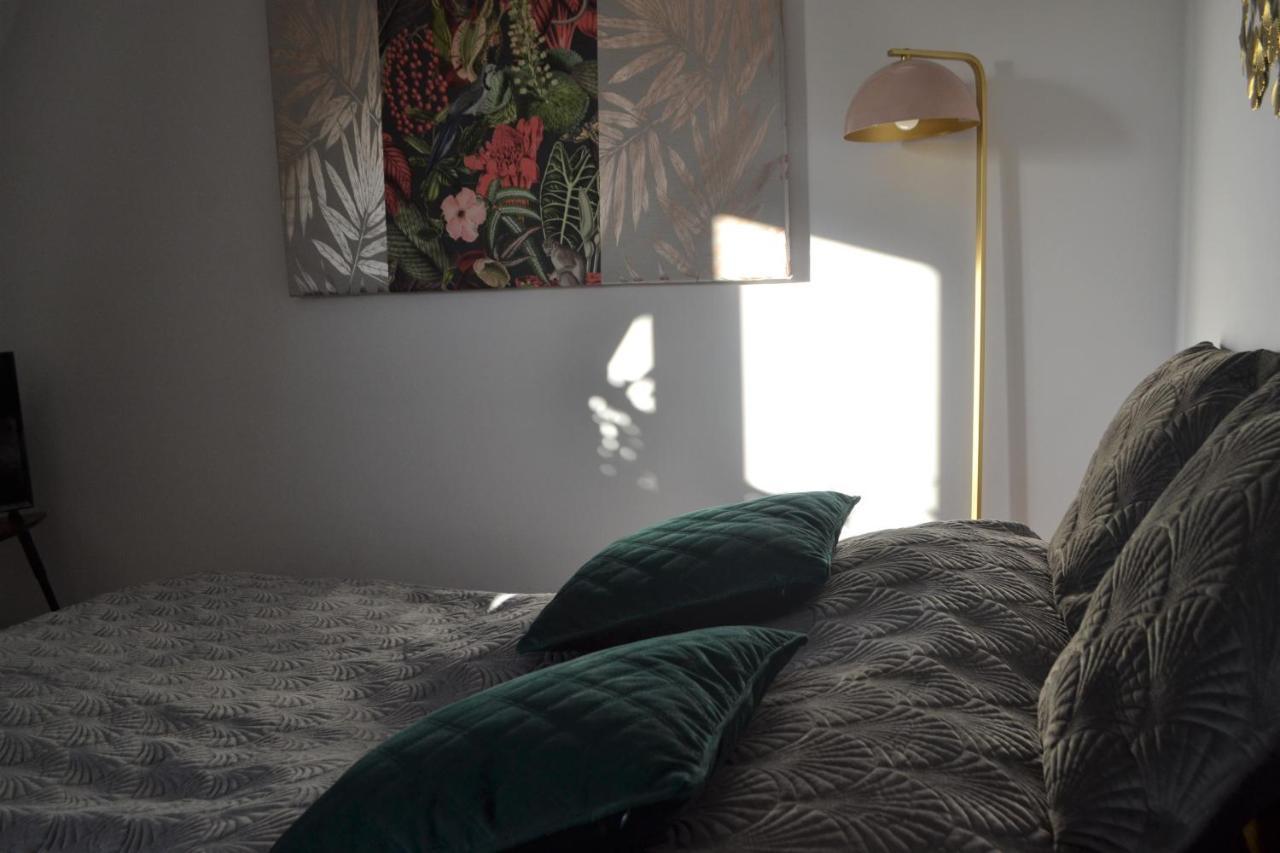 Aloes Studio Krasków Εξωτερικό φωτογραφία