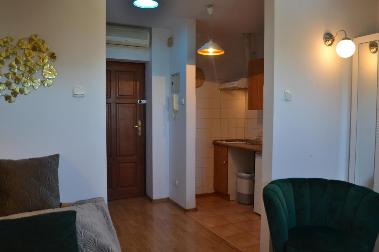 Aloes Studio Krasków Εξωτερικό φωτογραφία