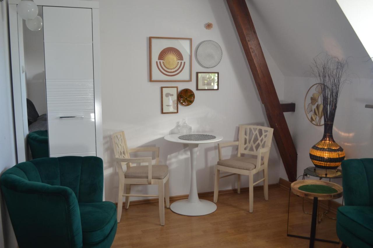 Aloes Studio Krasków Εξωτερικό φωτογραφία