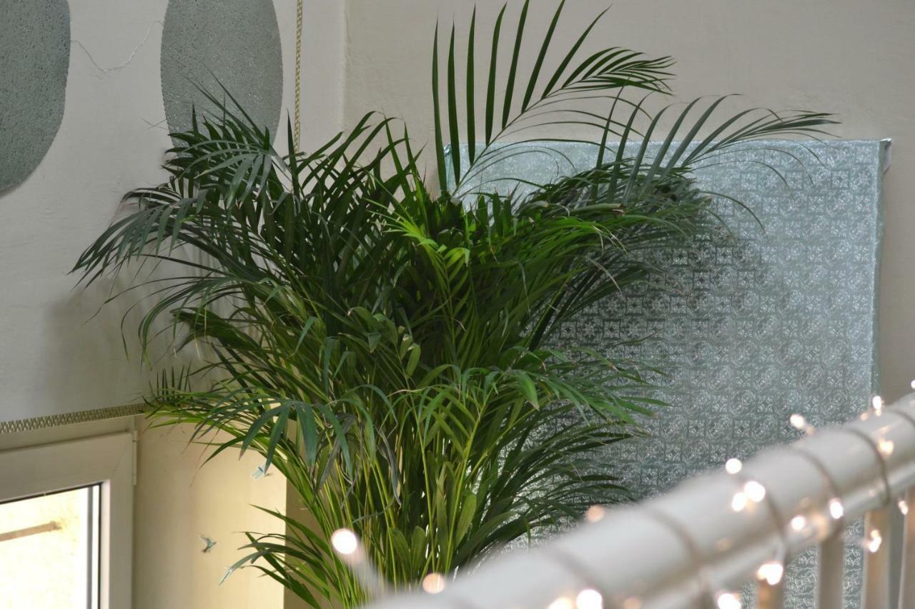 Aloes Studio Krasków Εξωτερικό φωτογραφία